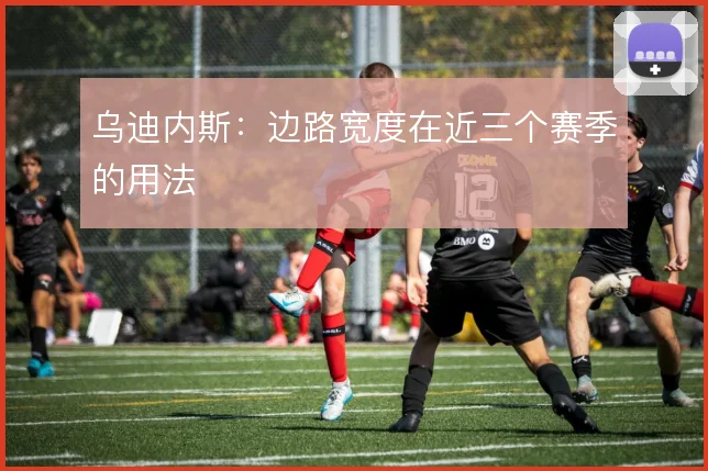 乌迪内斯:边路宽度在近三个赛季的用法