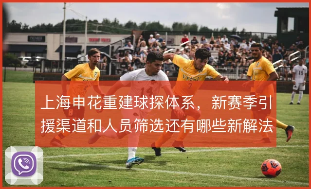上海申花重建球探体系,新赛季引援渠道和人员筛选还有哪些新解法